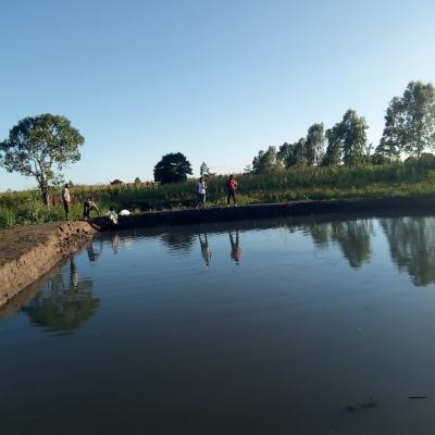 Gvh Chimutu Ta Kaponda Fishpond In Mchinji